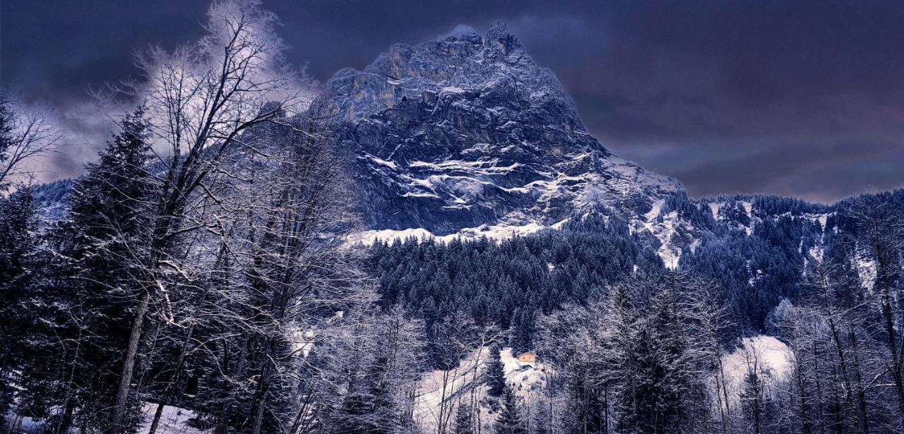 Bueelbad - Relax Holiday Apartment Kandersteg Bagian luar foto
