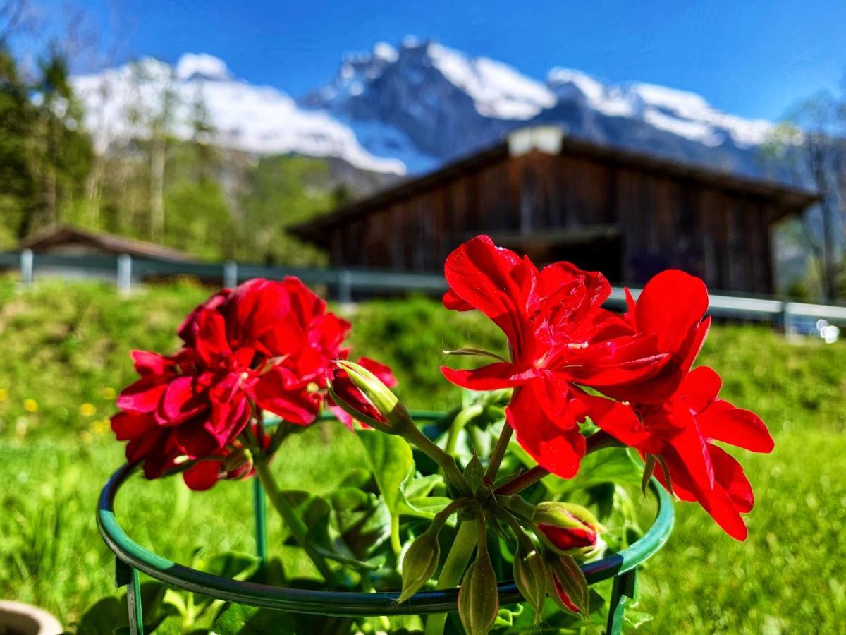 Bueelbad - Relax Holiday Apartment Kandersteg Bagian luar foto