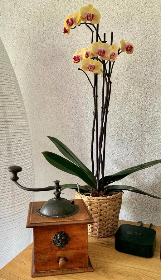 Bueelbad - Relax Holiday Apartment Kandersteg Bagian luar foto