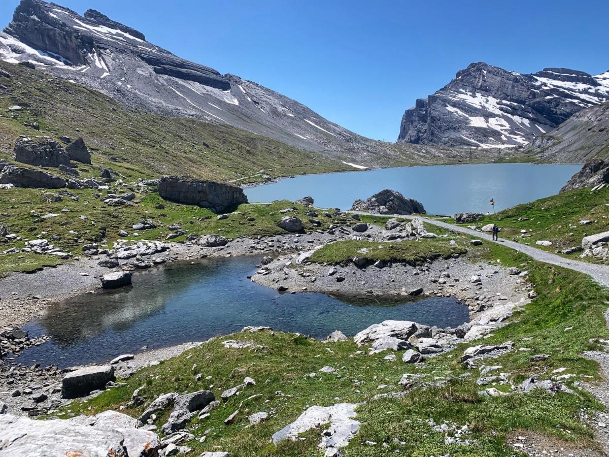 Bueelbad - Relax Holiday Apartment Kandersteg Bagian luar foto