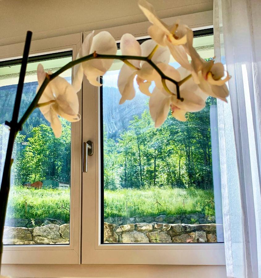 Bueelbad - Relax Holiday Apartment Kandersteg Bagian luar foto