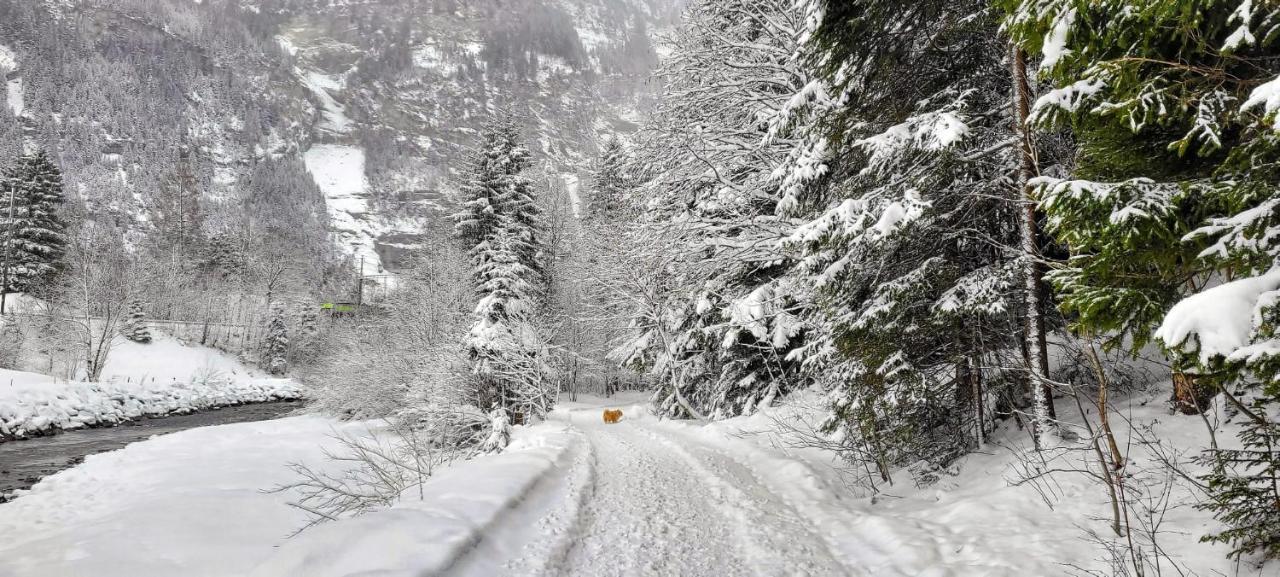 Bueelbad - Relax Holiday Apartment Kandersteg Bagian luar foto